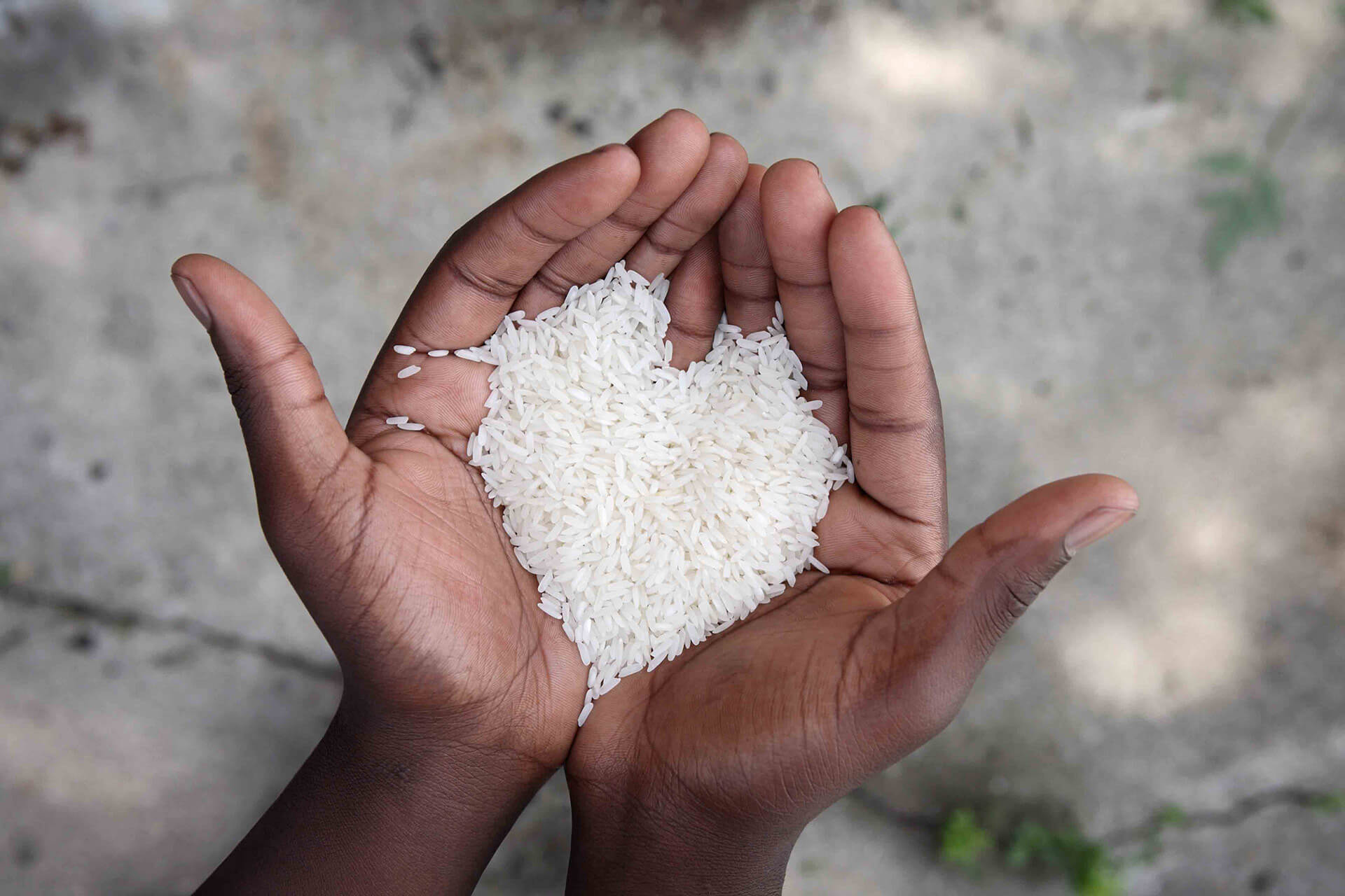 hand full of rice