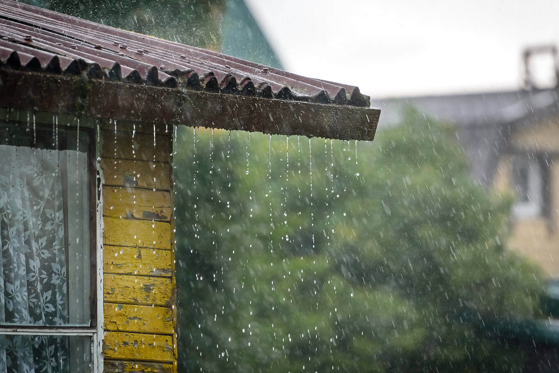 rain